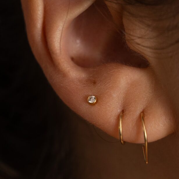 Fay earrings - mini-zircon