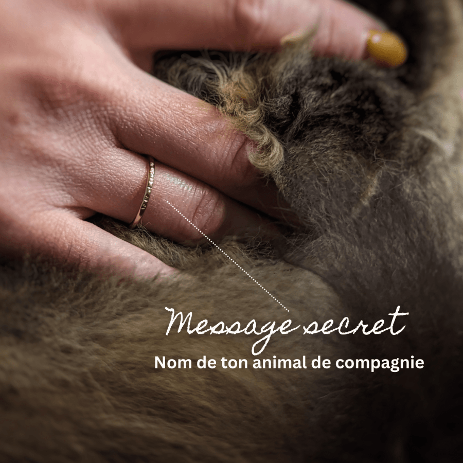 Bague avec nom d'animal de compagnie - Peasejewelry